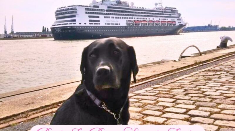 Holland America Line President Celebrates Life of Pioneering Service Dog Joska